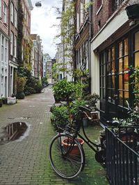 Bicycle parked on street amidst buildings