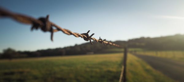 Close-up of barbed wire on field against sky