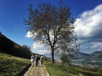 Rear view of people walking on footpath by tree against sky