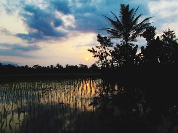 Scenic view of lake at sunset