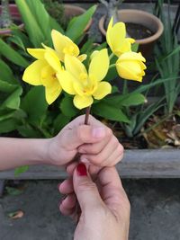 Cropped image of woman holding pink flowering plant