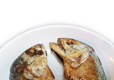 Close-up of fish on plate