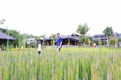 Man standing amidst plants on field against clear sky