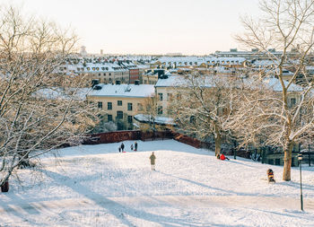 Snow covered trees in city