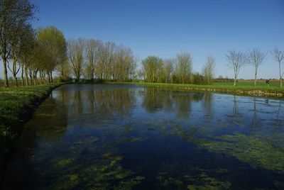 Scenic view of calm lake against clear sky