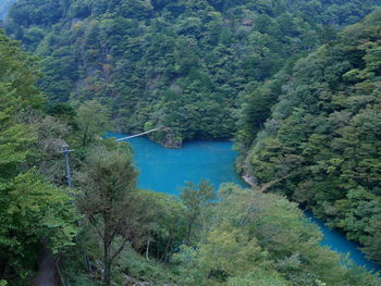 High angle view of river amidst trees in forest
