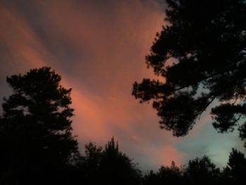 Low angle view of silhouette trees against sky during sunset