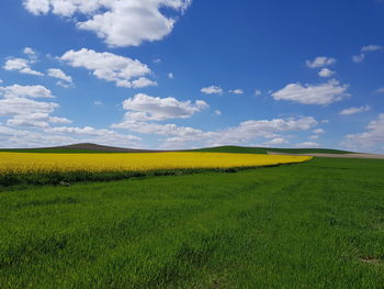 Scenic view of field against sky