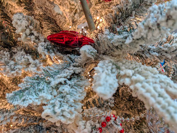 High angle view of crab on land