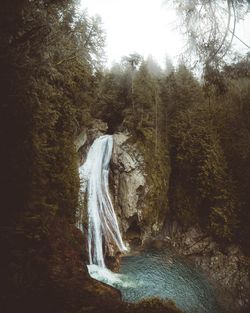 Waterfall in forest