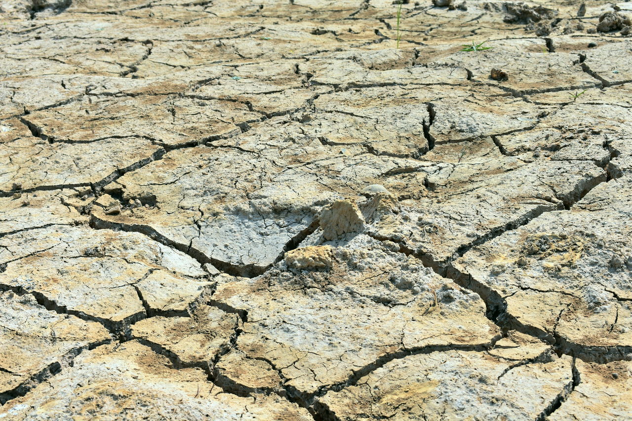 CLOSE-UP OF CRACKED LAND