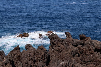 Scenic view of sea shore