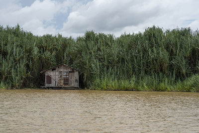 A traditional hut on the calm waters of the lake surrounded by pandanus trees. 
