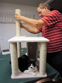 Senior man making table at home