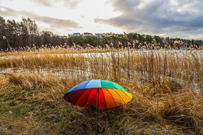 Rainbow umbrella on field against sky