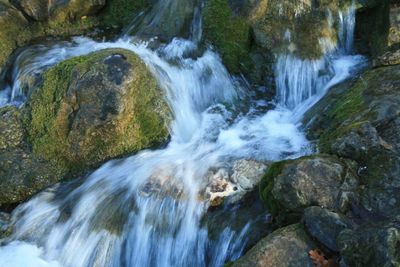 View of waterfall in forest