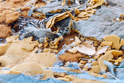 Close-up of dry leaves