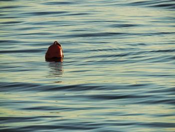 View of water in water