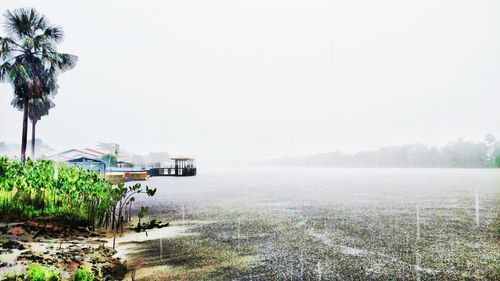 Scenic view of sea against clear sky