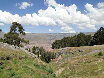 Scenic view of grassy field against cloudy sky