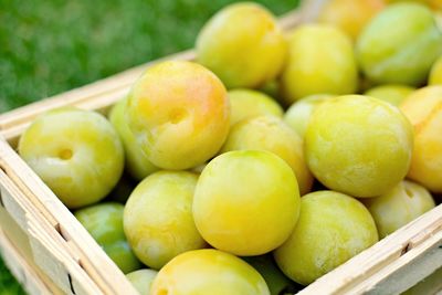 High angle view of oranges in basket