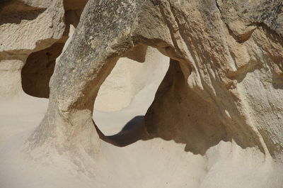 Close-up of rock formation on land