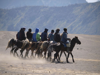 Men riding horses