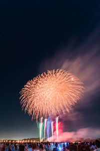 Low angle view of fireworks against sky at night