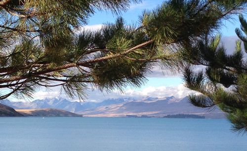 Scenic view of sea by trees against sky