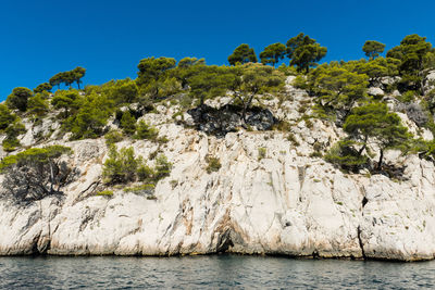 Scenic view of sea against clear blue sky