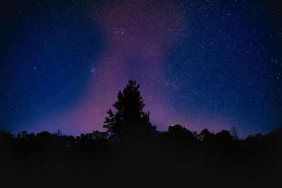 Low angle view of silhouette trees against sky at night