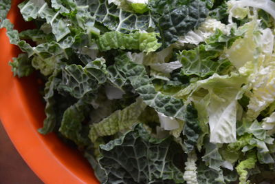 High angle view of leaf vegetables in bowl