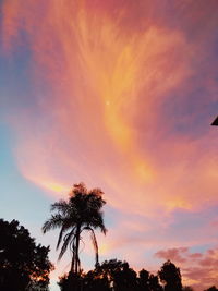 Low angle view of coconut palm tree against dramatic sky