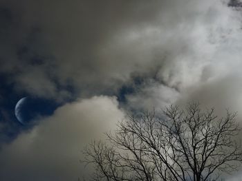 Low angle view of bare trees against cloudy sky