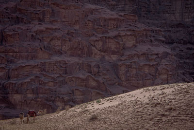 Rock formations on land