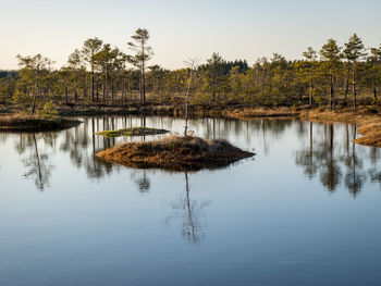 Nice landscape with evening and sunset over the bog lake, crystal clear lake and peat island 