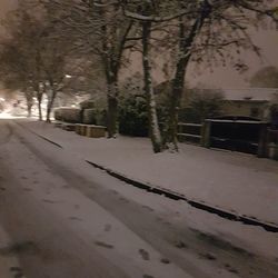 Snow covered trees against sky at night