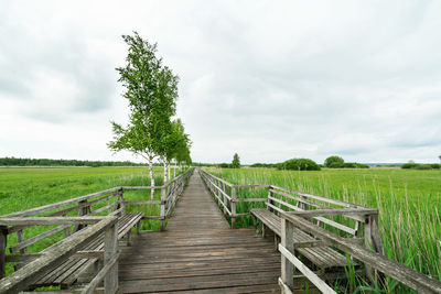 Wooden walkway amidst plants on field against sky