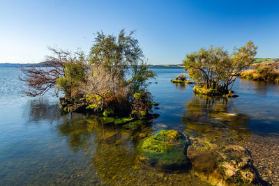 Scenic view of lake against clear sky