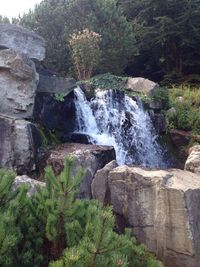 Stream flowing through rocks