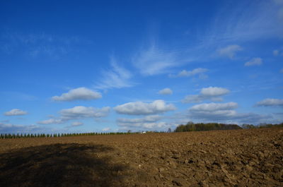 Scenic view of field against blue sky