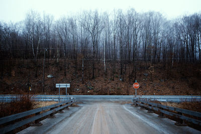 Road amidst trees in forest during winter