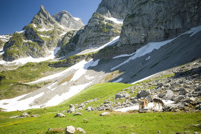 Scenic view of mountains