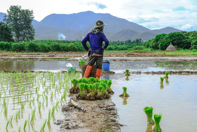 Man standing by plants on field against sky