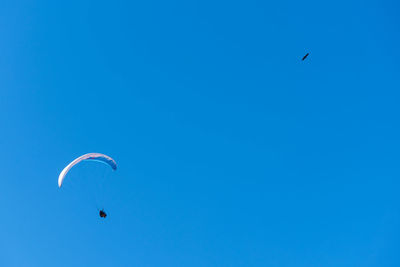 Low angle view of kite flying against blue sky