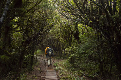 Rear view of man walking on footpath in forest