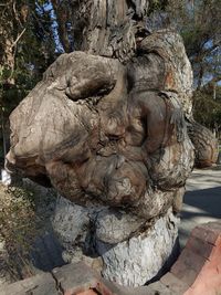 Close-up of statue against rock