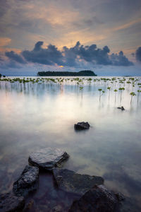 Scenic view of sea against sky during sunset