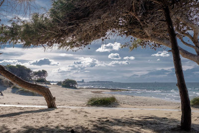 Scenic view of beach against sky