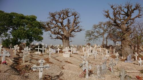 Trees growing in cemetery against sky